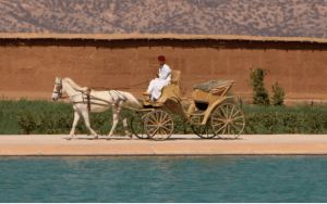 Un coche tiré par un cheval