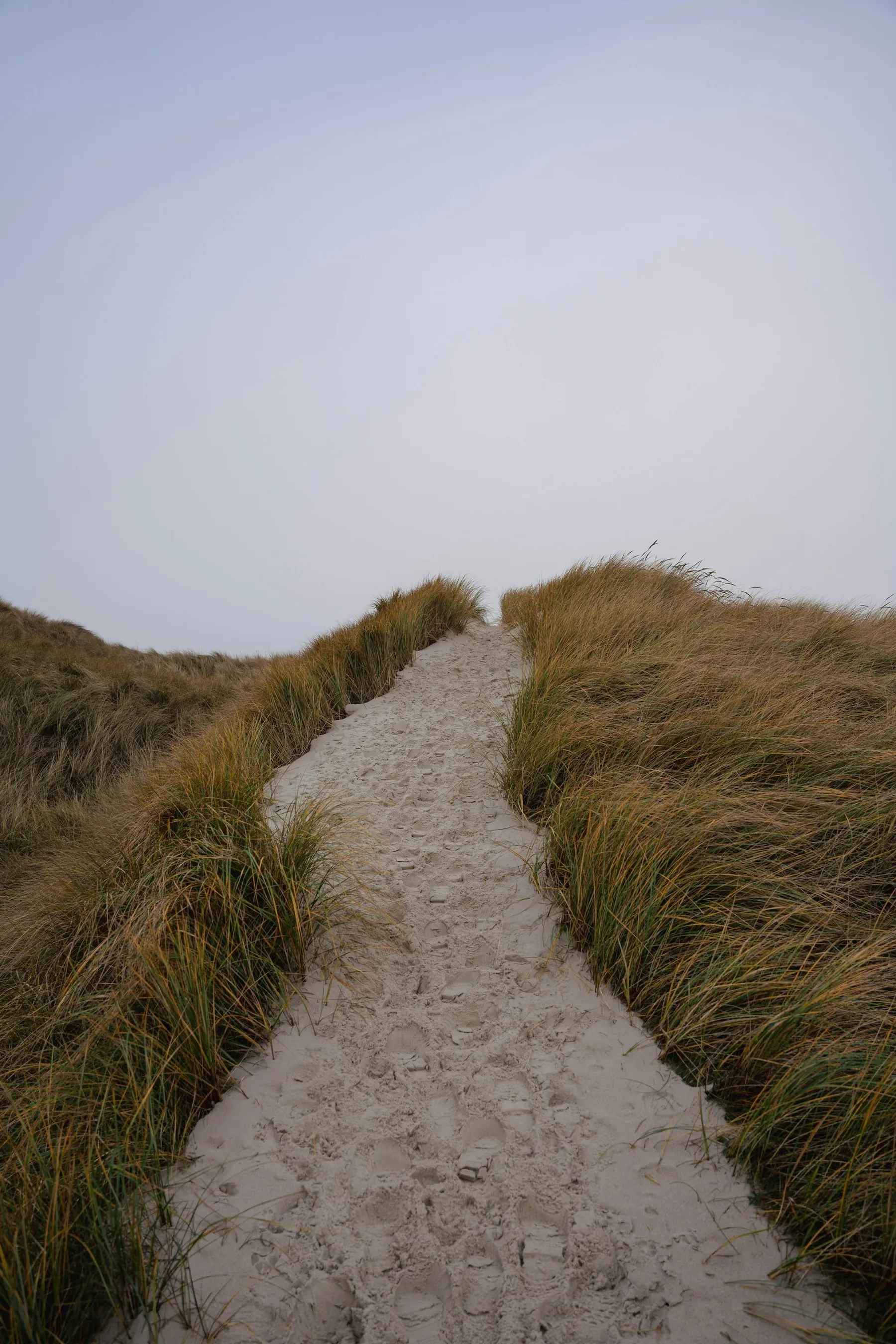 Un sentier de sable entre les dunes
